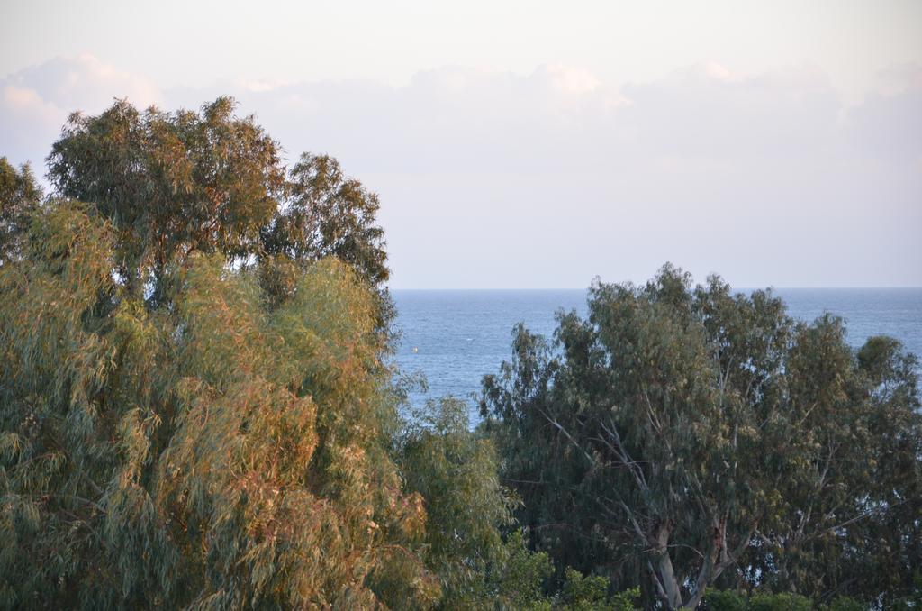 Pebble Beach Holiday Apartments Лімасол Екстер'єр фото